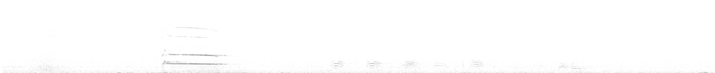Black Woodpecker - ML531773141