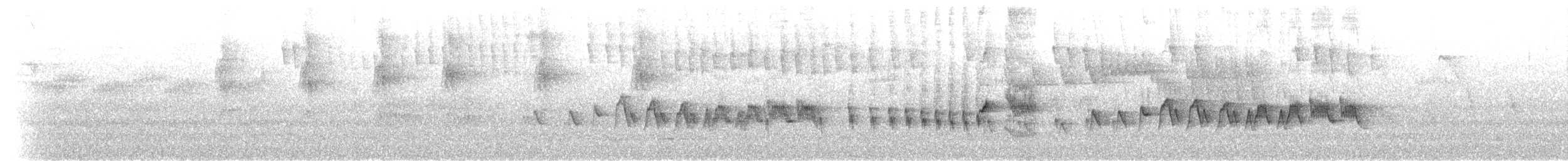 Reinita Bandeada (bivittata/argentinae) - ML531793231