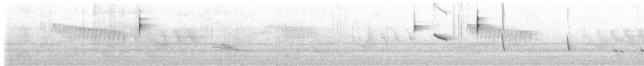 Белокрылая пиранга - ML531795501