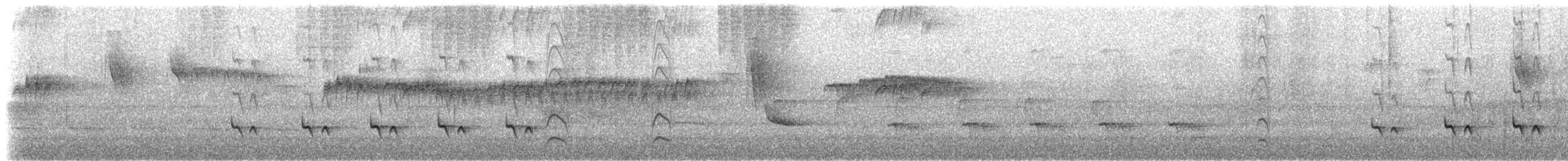 Stripe-chested Antwren - ML531796421