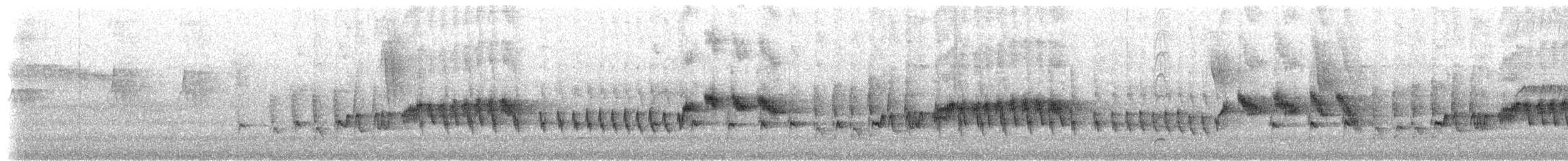 フタオビアメリカムシクイ（bivittata／argentinae） - ML531796441