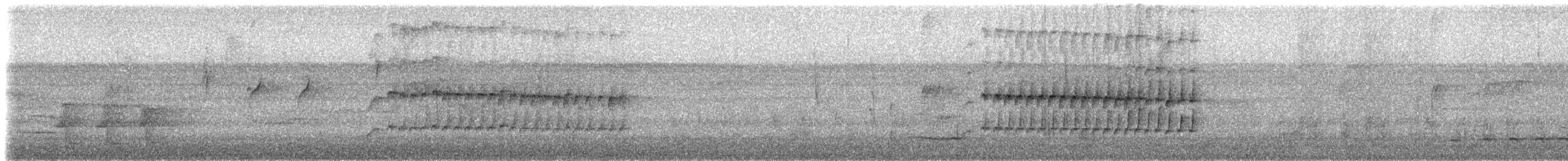 Western Fire-eye (maura Group) - ML531799961