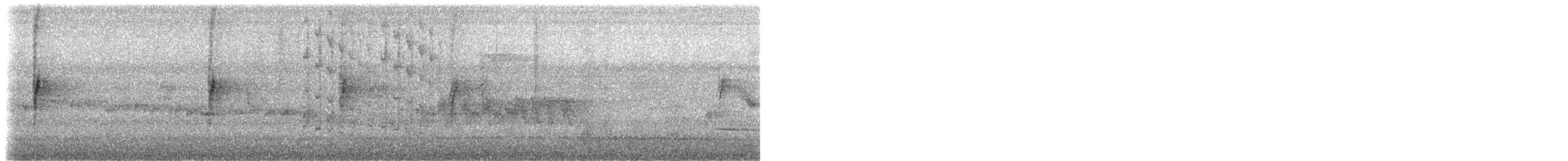Колібрі-пухоніг болівійський (підвид annae) - ML531800021