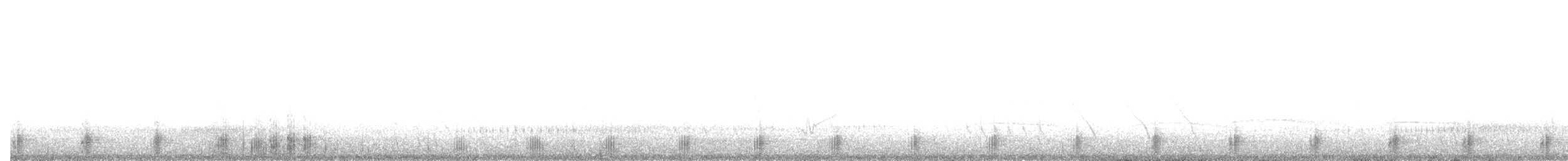 Weißkehlarassari (albivitta/phaeolaemus) - ML531813001