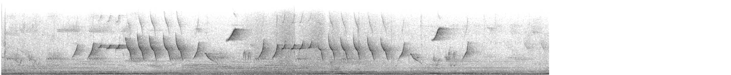 Striped Pipit - ML531821191