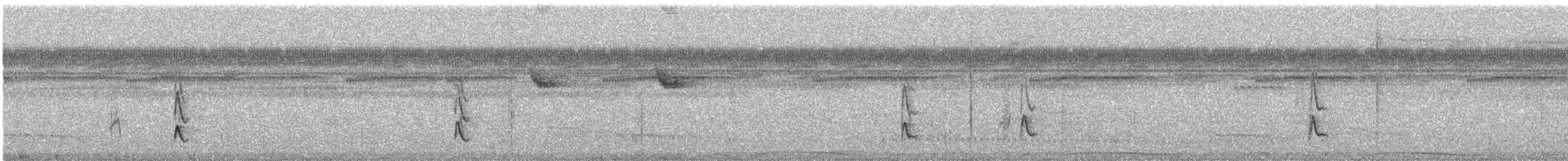 Lesser Wagtail-Tyrant - ML531824871
