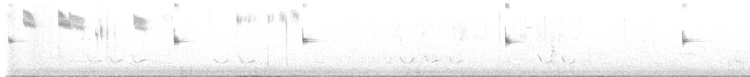 revespurv (megarhyncha gr.) (tykknebbrevespurv) - ML531825271