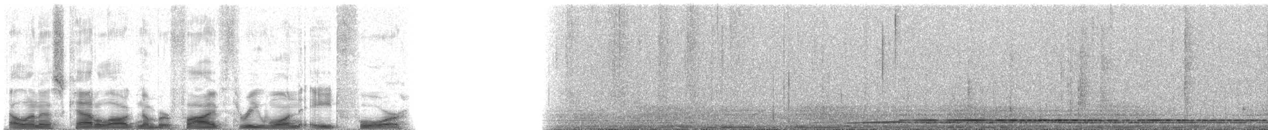 Гагара полярна - ML53184