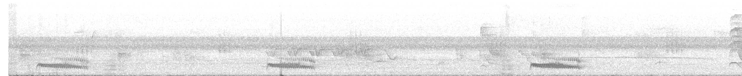 Atlantik Kara Gerdanlı Trogonu - ML531845261