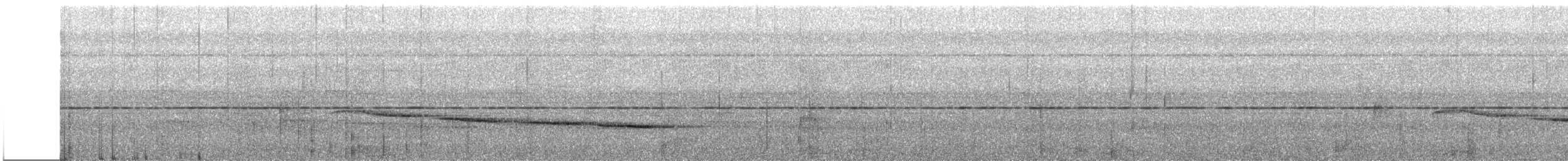 Усатый шелкопёр - ML531847761