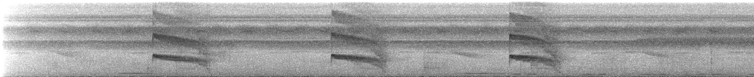 Чернопятнистая гологлазка - ML531910921
