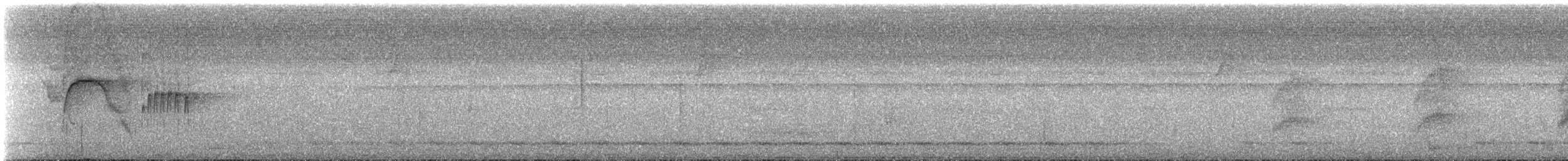 Orange-eyed Flatbill - ML531910961