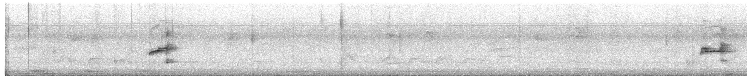 Kuzeyli Bıyıksız Tiranulet - ML531913681