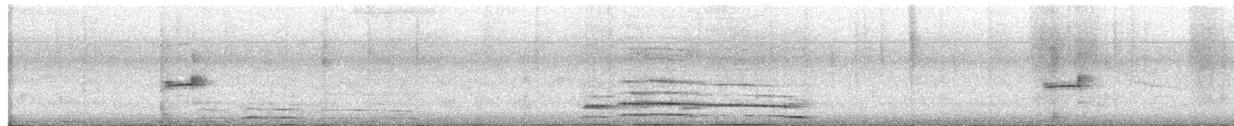 Тиранчик-тонкодзьоб північний - ML531913691
