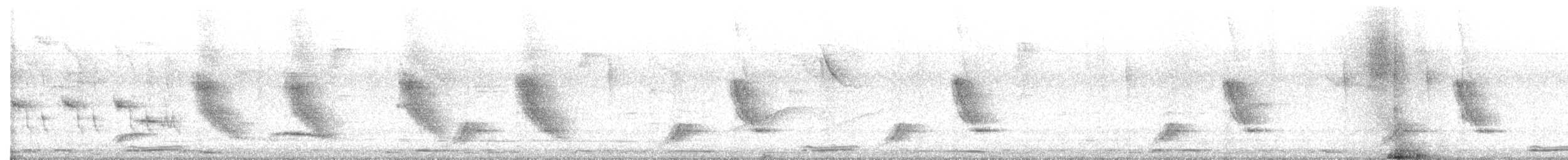 momot skořicovobřichý - ML531928781