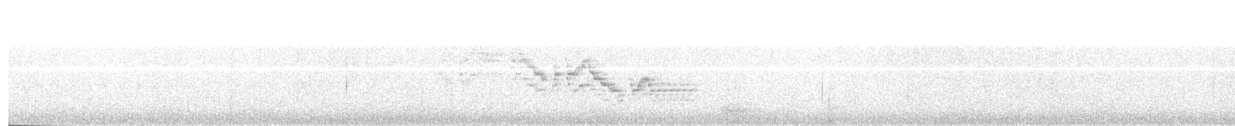 Пестрогорлый соловьиный дрозд - ML53193321