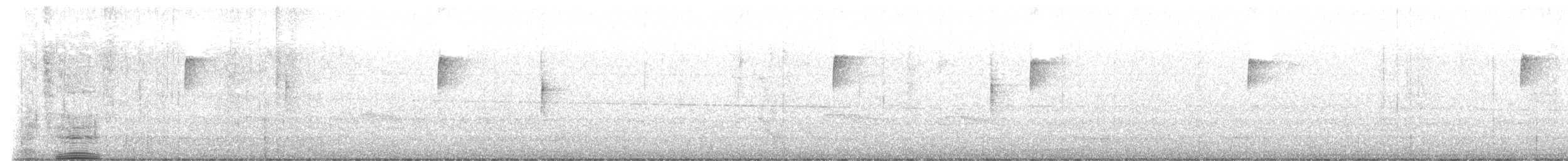 Brown-crested Flycatcher - ML531948241