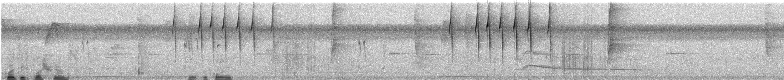 Turuncu Başlı Furnarid - ML531978431