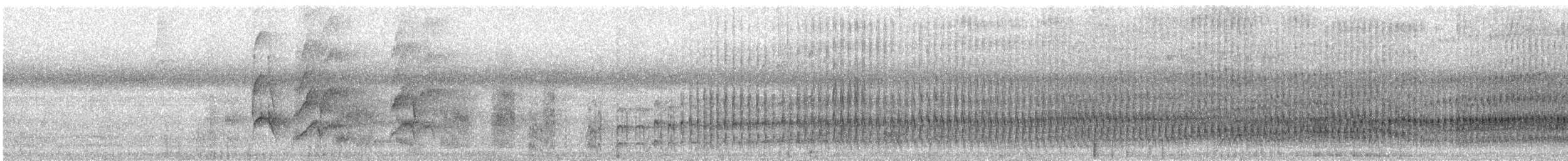 White-eared Jacamar - ML532001471