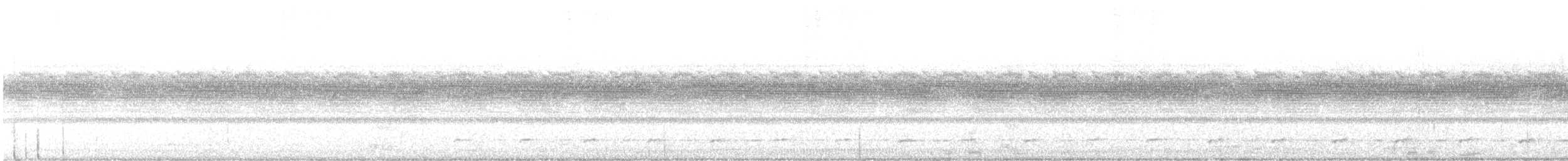Chevêchette brune - ML532021481