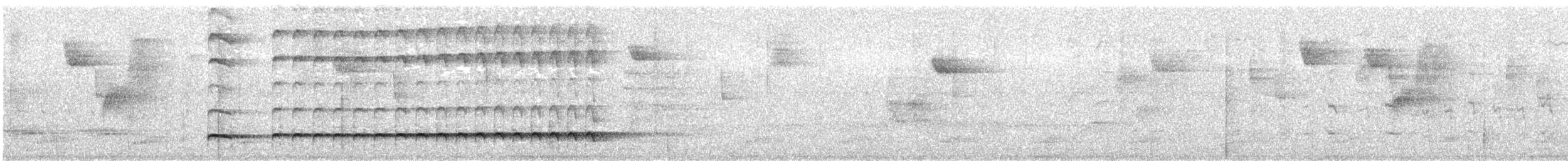 Formicario Mexicano - ML532033331