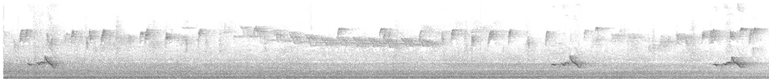 Black-faced Monarch - ML532051791