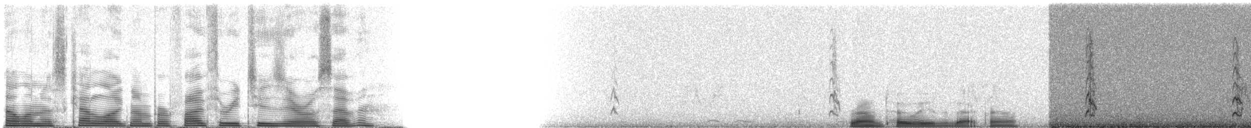 Canyon Towhee - ML53207