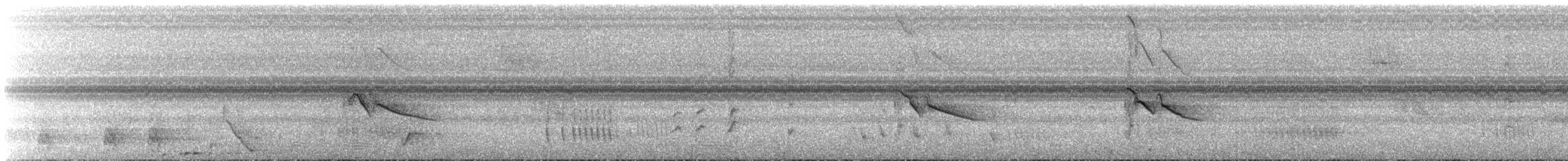 Plumbeous Kite - ML532083301