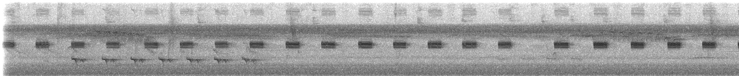 Stripe-chested Antwren - ML532099251