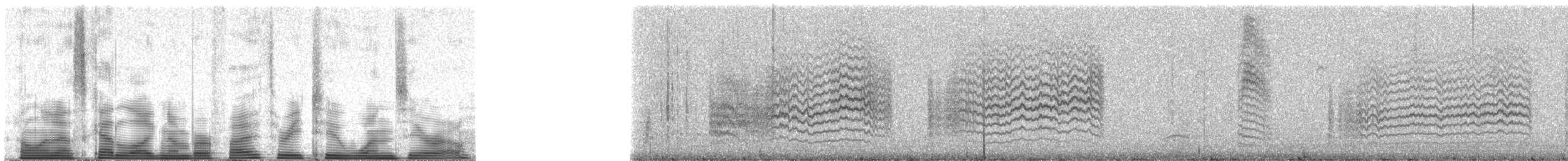California Gnatcatcher - ML53210