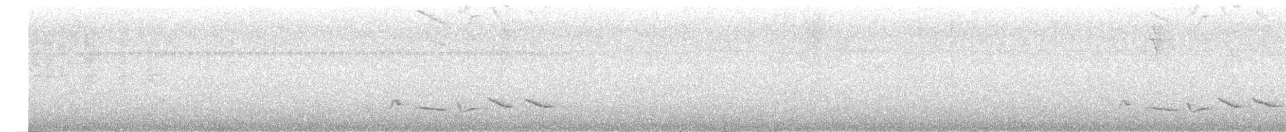 Зернолуск білогорлий - ML532101391