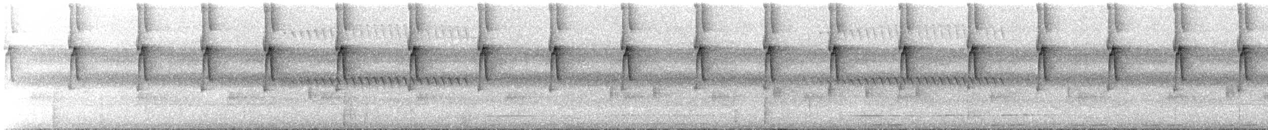Белобородый колибри-отшельник - ML532102491