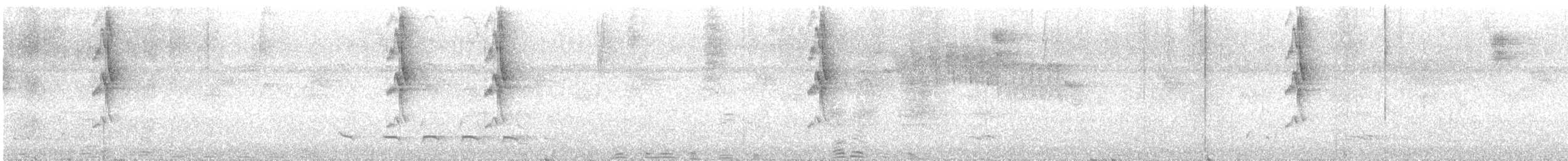 Усатый колибри-отшельник - ML532105831