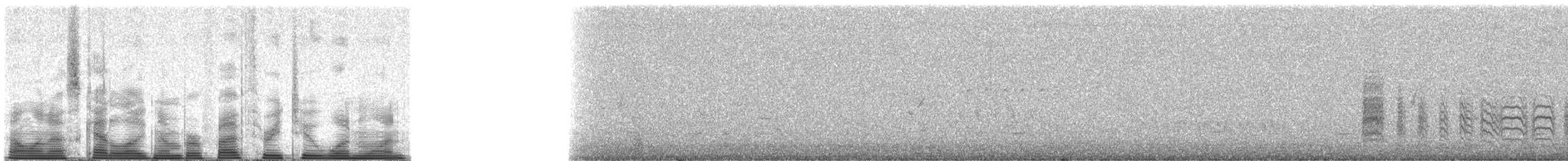 California Gnatcatcher - ML53211