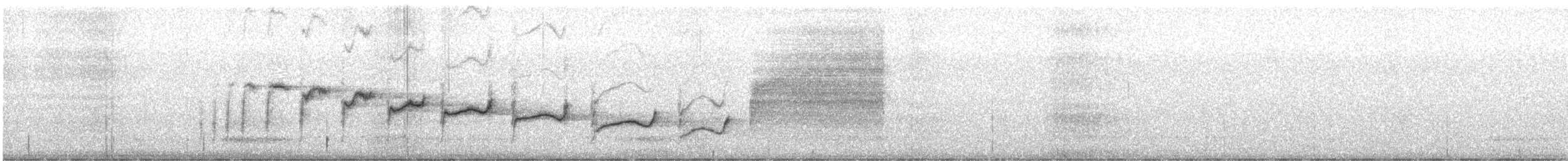 Canyon Wren - ML532136171