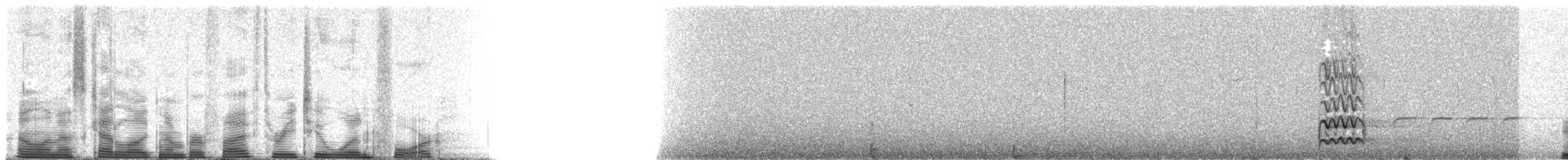 Кактусовый дятел - ML53214