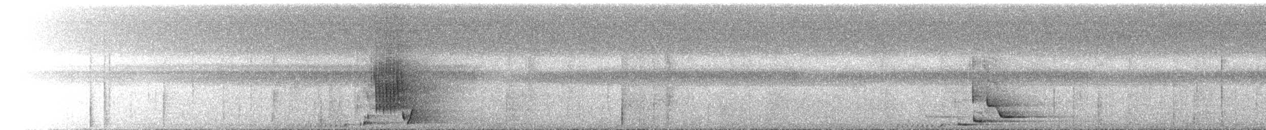 Breithauben-Stirnvogel [angustifrons-Gruppe] - ML532145531