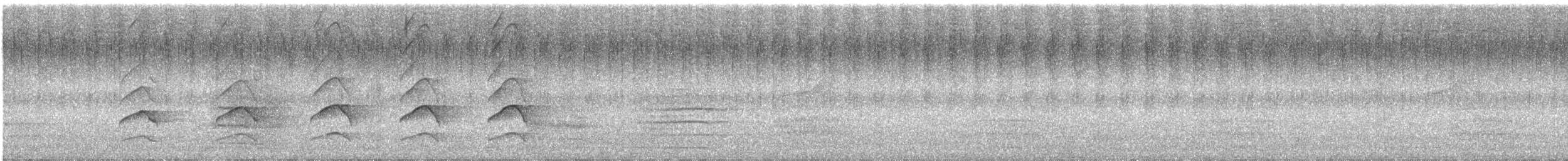 Ошейниковый перепелятник - ML532189631