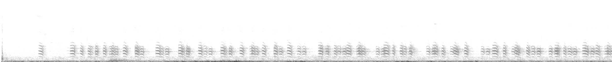 Weißbrustkleiber - ML532194621