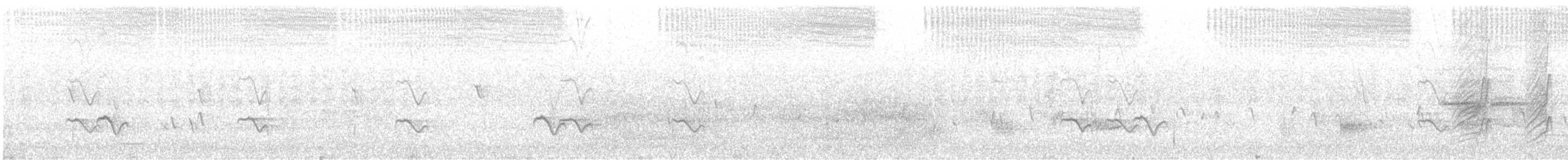 ウスズミモリツバメ - ML532213291