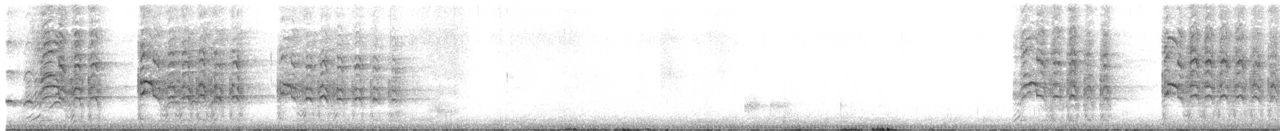 luňák bělohlavý - ML532250541