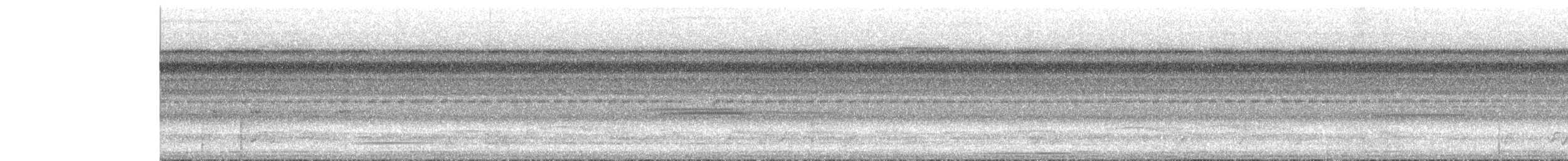 Undulated Tinamou - ML532268291