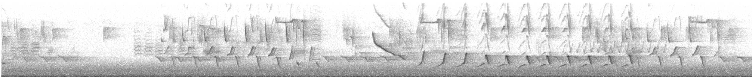 ショウジョウコウカンチョウ - ML532268361