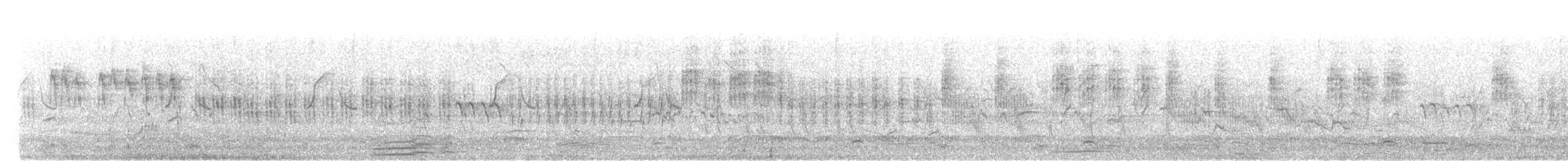 קנית פסים - ML532269311