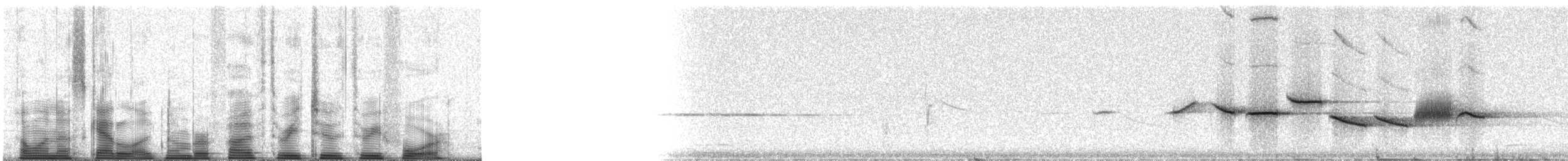 Fox Sparrow - ML53234