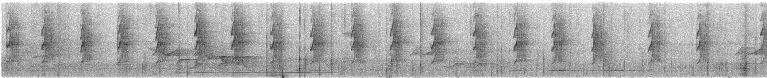Uzun Gagalı Hermit [longirostris grubu] - ML532347131