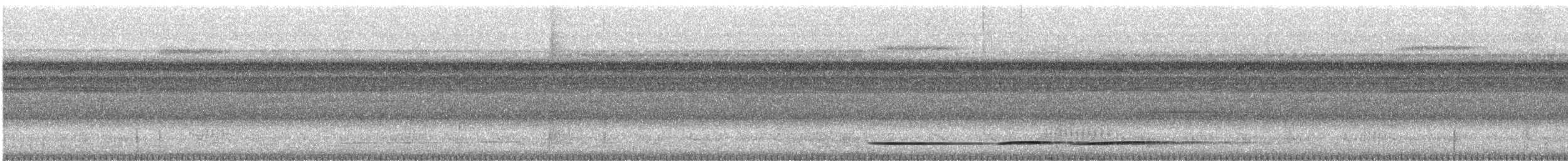 Undulated Tinamou - ML532348891