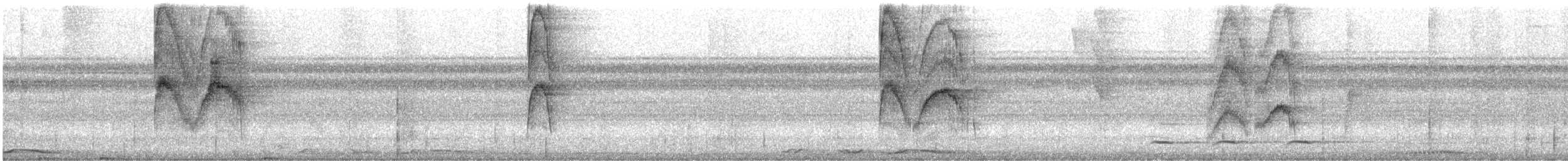 Turuncu Gözlü Yassıgaga - ML532349051