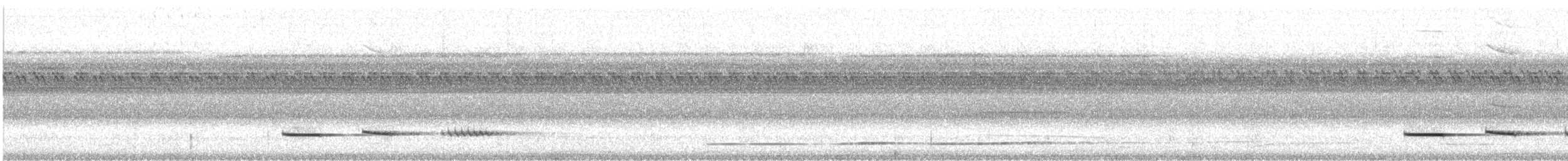 Pheasant Cuckoo - ML532349101