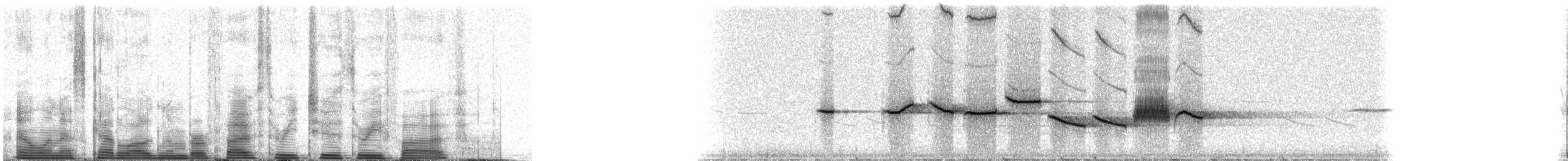 Fox Sparrow - ML53235